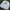 Reebok Vintage Y2K Hoody Pria White