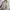 MargaretHowell MHL Cardigan Knit Sweater Size M photo 2
