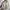 MargaretHowell MHL Cardigan Knit Sweater Size M