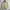 MargaretHowell MHL Cardigan Knit Sweater Size M photo 1