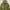 EMS! Excite Military Long Parka Size M photo 3