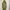 EMS! Excite Military Long Parka Size M photo 1