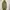 EMS! Excite Military Long Parka Size M