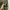 EMS! Excite Military Long Parka Size M photo 4