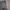 Outer photo 8