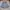 Outer photo 7
