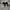 Nike Air Jordan 1 Low 'Inside Out Black' photo 4