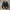 Nike Air Jordan 1 Low 'Inside Out Black' photo 5