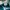 Topi Billabong Surfing Brand Ripped Visor photo 5