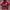 Jersey AC Milan 14/15 photo 1