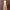 Avant Garde Evening dress Wanita gold white photo 3