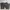 BRANDY MELVILLE cargo pants photo 2