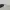 Vintage 90’s Sting by De Rigo Mod. 4543 Small Sunglasses  photo 5