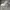 Nike air jordan Reigning champ grey photo 3