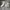 Nike Air Jordan Reigning Champ Grey