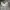 Nike air jordan Reigning champ grey photo 1