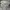 Nike air jordan Reigning champ grey photo 6