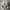 Nike air jordan Reigning champ grey photo 5
