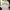 AIR JORDAN SPELLING BACK HIT photo 4