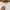 AIR JORDAN SPELLING BACK HIT photo 6