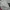 Supreme Streetwear Casual Sweater Wanita white photo 4
