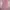 Fairy Coquette Cami top Wanita pink photo 3