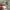 GIANFRANCO OTTAVIANI Italian Mode Abstract Art Pattern Rayon photo 6