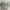 Kaos Shirt Kappa spellout White Men  photo 4