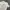 Kaos Shirt Kappa Spellout White Men 