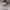 Converse Cons Breakpoint Ox Suede photo 3