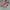Converse Cons Breakpoint Ox Suede photo 1