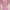 Lolita Coquette Cami Top Wanita Pink