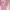 Lolita Coquette Cami Top Wanita Pink
