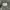 Canadian Army Combat Cargo Pants 90's photo 6