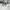 Converse Cons Slip Cc pro realtree photo 4