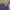 Jeans Pants Slowmood Baggy photo 6