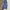Jeans Pants Modern Straighfit photo 1