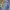Jeans Pants Topten Straighfit photo 4