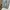 Jeans Pants Ripen Regular photo 6
