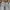 Jeans Pants Ripen Regular photo 5