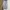Jeans Pants Ripen Regular photo 1