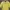 Polo Linen Ralph Lauren Yellow Shirt photo 2