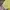 Polo Linen Ralph Lauren Yellow Shirt photo 6