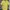 Polo Linen Ralph Lauren Yellow Shirt photo 1