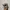 Oakley Sunglasses Juliet Fashion BNWT photo 3