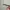 Oakley Sunglasses Juliet Fashion BNWT photo 8