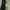 Hair & Body mist HMNS  photo 1