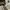 Realtree pants doble knee photo 1