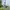 Realtree pants doble knee photo 2