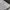 Adidas Casual Hoody Kids white photo 4